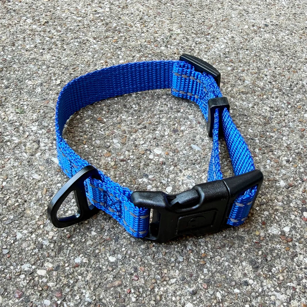 City Collar (Electric Blue)