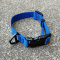 City Collar (Electric Blue)