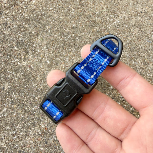 City Collar (Electric Blue)