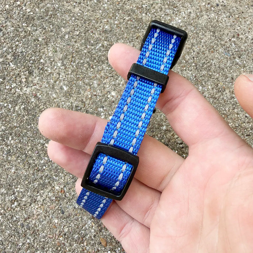 City Collar (Electric Blue)