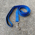 City Leash (Electric Blue)