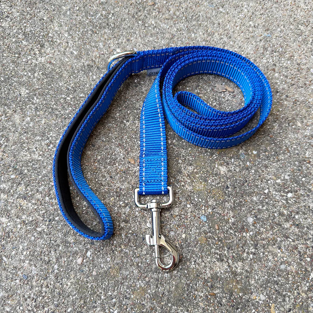 City Leash (Electric Blue)