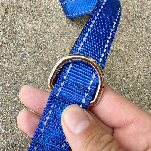 City Leash (Electric Blue)