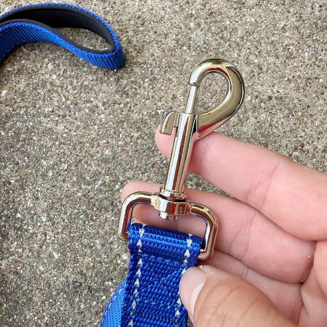 City Leash (Electric Blue)