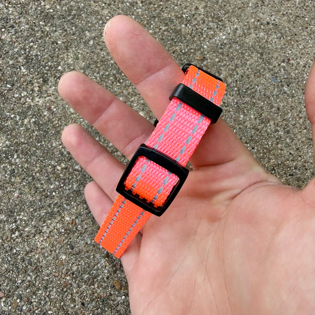 City Collar (Miami Pink)