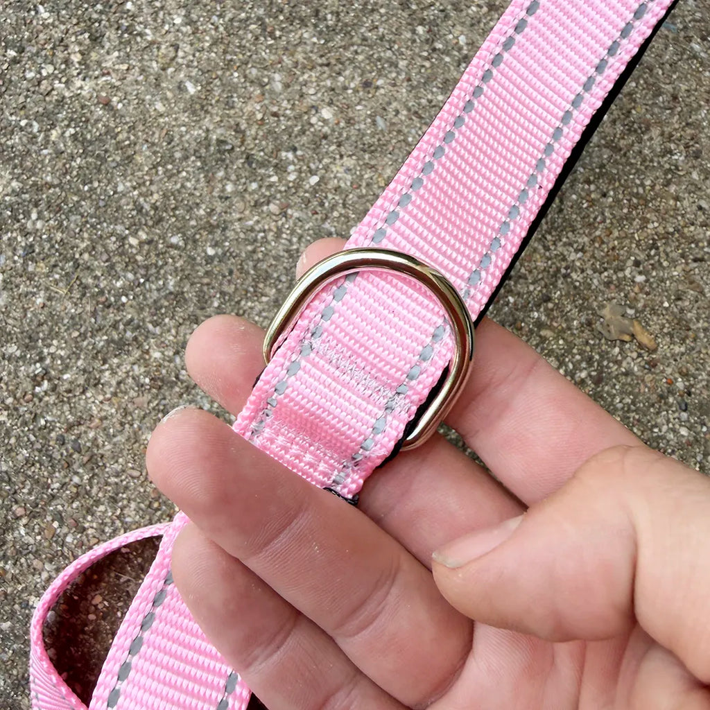 City Leash (Miami Pink)