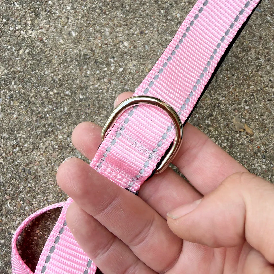 City Leash (Miami Pink)