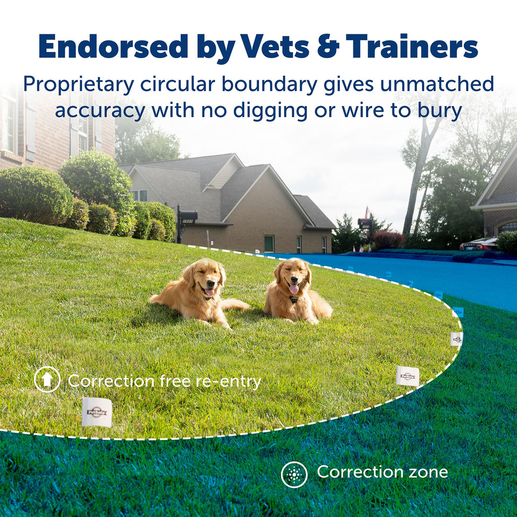 PetSafe® Stay & Play Compact Wireless Pet Fence