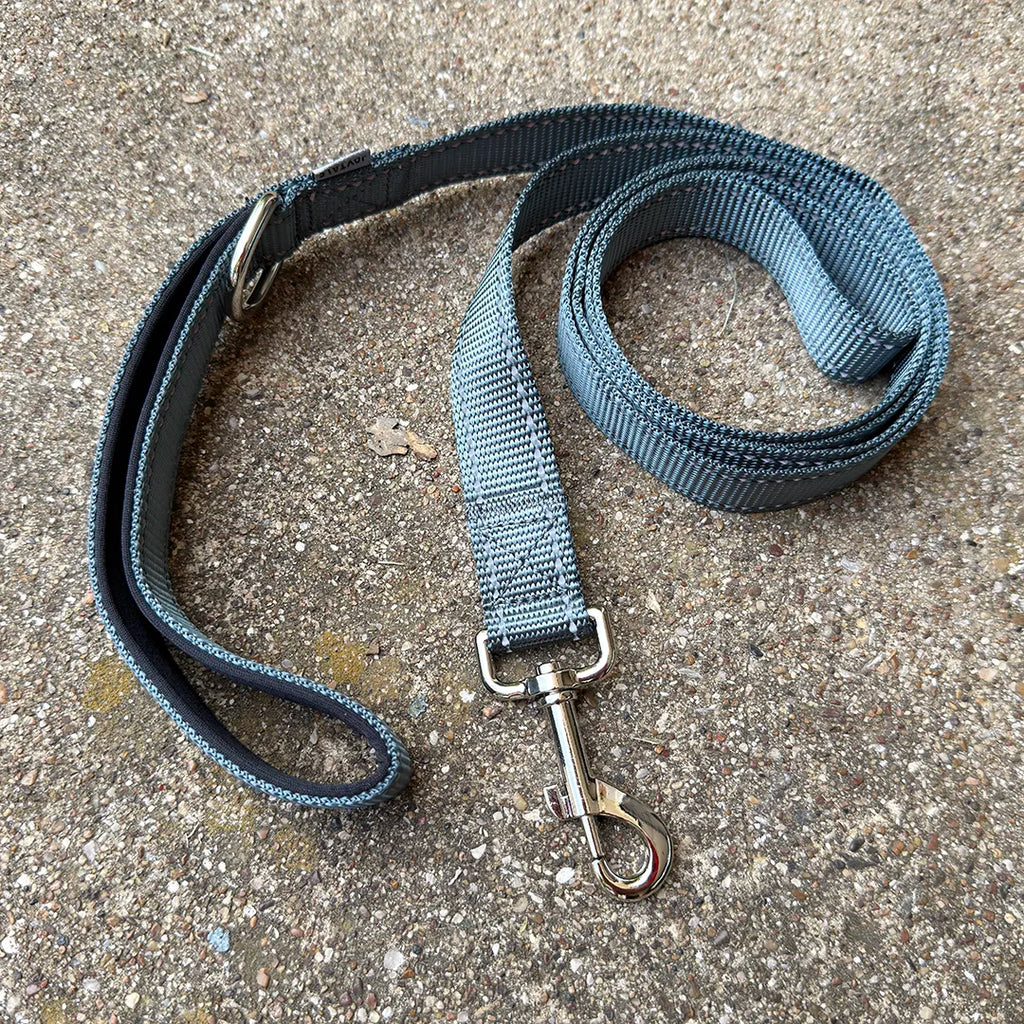 City Leash (Storm Grey)